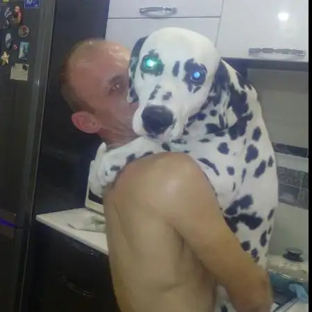 Андрей, 44Берлин 