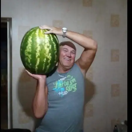 Alexander, 68Билефельд 
