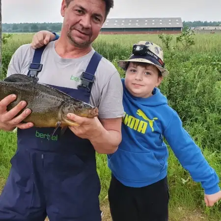 Александр, 46 Рейн