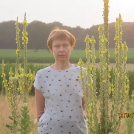 Bluemchen, 54Берлин 