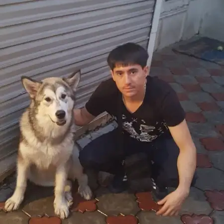 Артём, 34Берлин