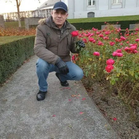 Ovnan, 62Кобленц 