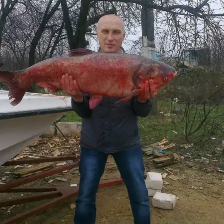 Вячеслав, 55
