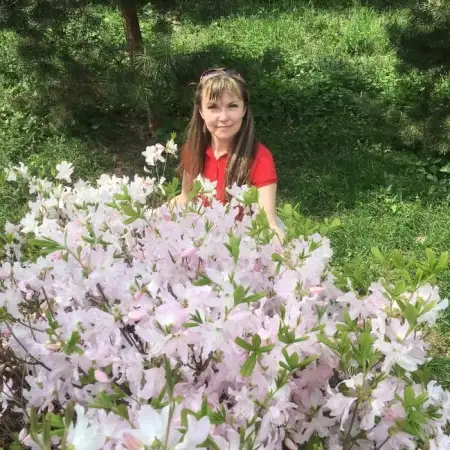 Viktoria, 51Штутгарт 