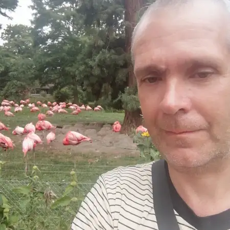 Роман, 49Брул 