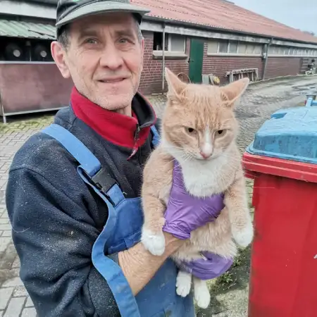 Wyacheslav, 56Эмден 