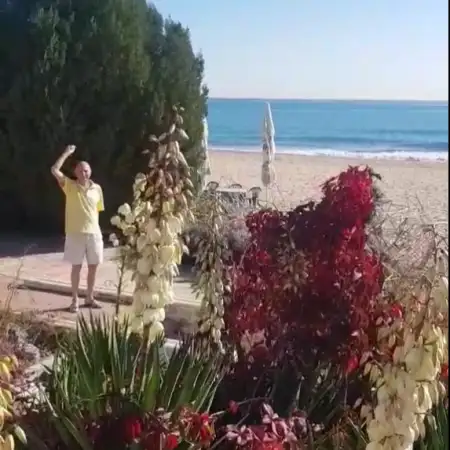 Alex, 76Нюрнберг