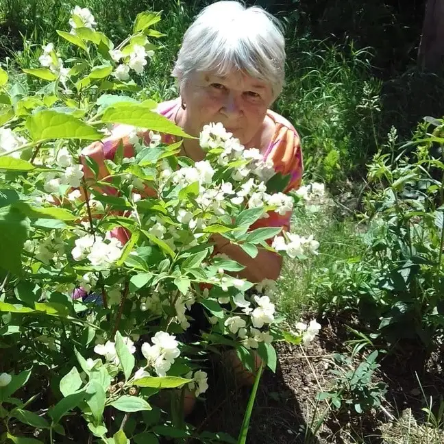Ольга, 80, Дортмунд - Gratis