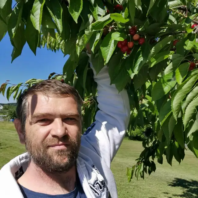 Sergiu, 43, Рютлинген - Gratis